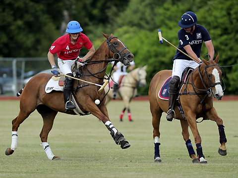 red and blue ppolo players competing for ball with ponies galloping